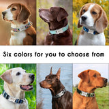 Dog Collar Personalized Nylon Pet Dog Tag Collar Custom Nameplate ID Collars