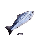 Fishy Catnip Kick Toy For Cats