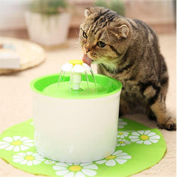Flower Pet Fountain