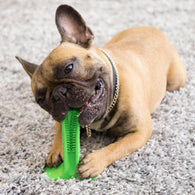 Brusheaz - Dog Toothbrush Stick Toy