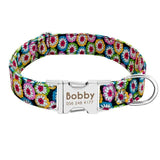 Dog Collar Personalized Nylon Pet Dog Tag Collar Custom Nameplate ID Collars