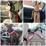 Dog Safety Car Seat Belt