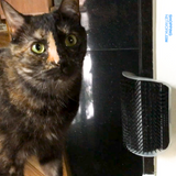 The Original Cat Groomer